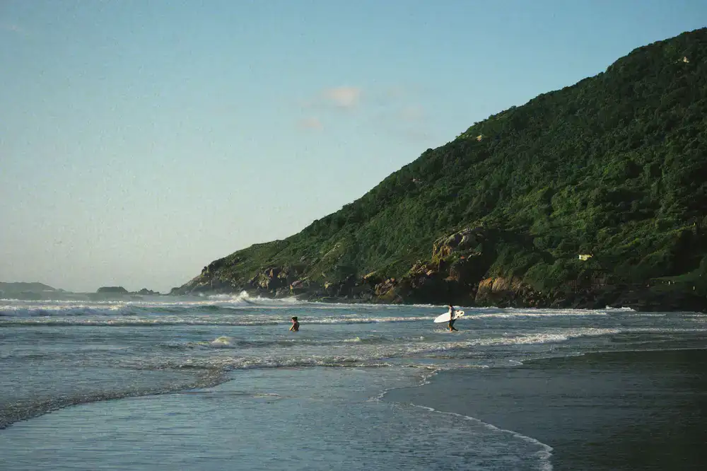 Equipo de instructores caminando por la playa con sus tablas